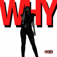 Thumbnail for the Offer Nissim - Why link, provided by host site
