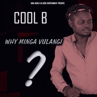 Thumbnail for the Cool B - Why Minga Vulangi link, provided by host site