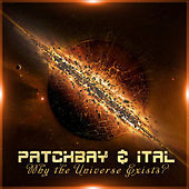 Thumbnail for the Patchbay - Why The Universe Exists link, provided by host site