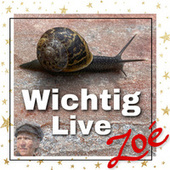 Thumbnail for the Zoé - Wichtig link, provided by host site