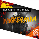 Thumbnail for the Ummet Ozcan - Wickerman link, provided by host site