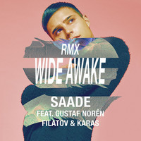 Thumbnail for the Eric Saade - Wide Awake [Red Mix] link, provided by host site