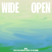 Thumbnail for the Wafia - Wide Open (Cabu & Ta-ku Remix) link, provided by host site