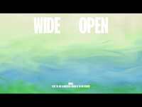 Thumbnail for the Wafia - Wide Open [Cabu Remix] link, provided by host site