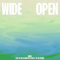 Thumbnail for the Wafia - Wide Open [Cabu & Ta-ku Remix] link, provided by host site