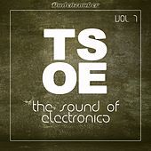 Thumbnail for the The Micronaut - Widelens link, provided by host site