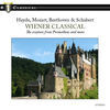 Image of Bonn Classical Philharmonic linking to their artist page due to link from them being at the top of the main table on this page