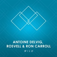 Image of Antoine Delvig linking to their artist page due to link from them being at the top of the main table on this page