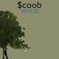 Image of Scoob linking to their artist page due to link from them being at the top of the main table on this page