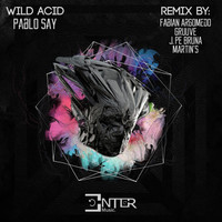 Thumbnail for the Fabian Argomedo - Wild Acid - Fabian Argomedo Remix link, provided by host site
