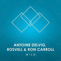 Thumbnail for the Antoine Delvig - Wild link, provided by host site