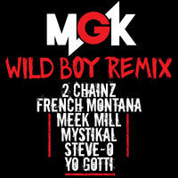 Thumbnail for the Machine Gun Kelly - Wild Boy (Remix) link, provided by host site