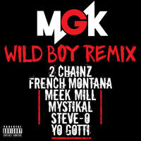 Thumbnail for the Machine Gun Kelly - Wild Boy [Remix] link, provided by host site