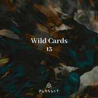 Thumbnail for the VayFlor - Wild Cards 13 link, provided by host site