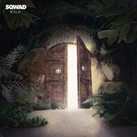 Image of Sqwad linking to their artist page due to link from them being at the top of the main table on this page