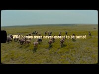 Thumbnail for the Chris Janson - Wild Horses link, provided by host site
