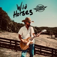 Thumbnail for the Chris Janson - Wild Horses link, provided by host site