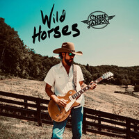 Thumbnail for the Chris Janson - Wild Horses link, provided by host site