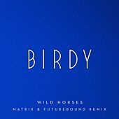 Thumbnail for the Birdy - Wild Horses (Matrix & Futurebound Remix) link, provided by host site