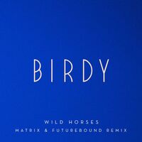 Image of Birdy linking to their artist page due to link from them being at the top of the main table on this page