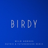 Thumbnail for the Birdy - Wild Horses (Matrix & Futurebound Remix) [Extended] link, provided by host site