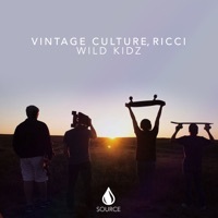 Thumbnail for the Vintage Culture - Wild Kidz (Extended Mix) link, provided by host site
