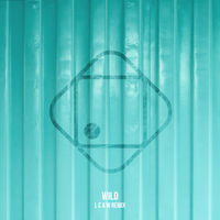 Thumbnail for the Hugo Helmig - Wild (LCAW Remix) link, provided by host site
