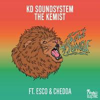 Thumbnail for the KD Soundsystem - Wild Like a Jungle link, provided by host site
