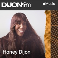 Thumbnail for the Honey Dijon - Wild Luv (Harry Romero Remix) / CUNTY (Mixed) link, provided by host site
