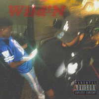 Thumbnail for the Big Game - Wild'N link, provided by host site