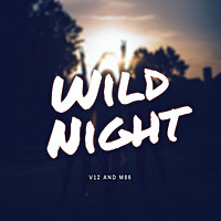 Thumbnail for the V12 - Wild Night link, provided by host site