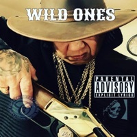 Thumbnail for the Calico 101 - Wild Ones link, provided by host site