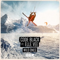 Thumbnail for the Code Black - Wild Ones link, provided by host site