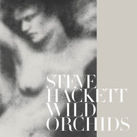 Thumbnail for the Steve Hackett - Wild Orchids link, provided by host site