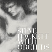Thumbnail for the Steve Hackett - Wild Orchids (Re-Issue 2013) link, provided by host site