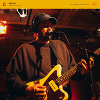 Thumbnail for the Wild Pink - Wild Pink on Audiotree Live link, provided by host site