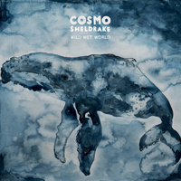 Thumbnail for the Cosmo Sheldrake - Wild Wet World link, provided by host site