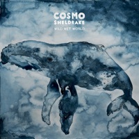 Thumbnail for the Cosmo Sheldrake - Wild Wet World link, provided by host site