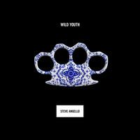 Thumbnail for the Steve Angello - Wild Youth link, provided by host site