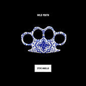 Thumbnail for the Steve Angello - Wild Youth link, provided by host site