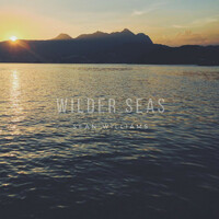 Thumbnail for the Sean Williams - Wilder Seas link, provided by host site