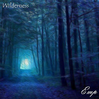 Thumbnail for the EMP - Wilderness link, provided by host site