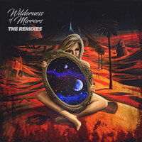 Thumbnail for the Truth - Wilderness Of Mirrors The Remixes link, provided by host site