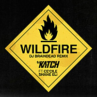 Thumbnail for the DJ Katch - Wildfire (Dj Braindead Remix) link, provided by host site