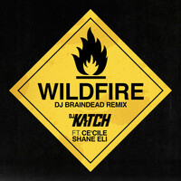 Thumbnail for the DJ Katch - Wildfire - DJ BrainDeaD Remix link, provided by host site