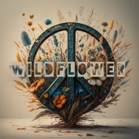Thumbnail for the Jordan Mitchell - Wildflower link, provided by host site