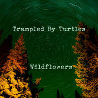 Thumbnail for the Trampled By Turtles - Wildflowers link, provided by host site