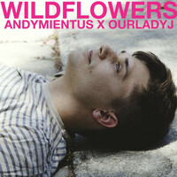 Thumbnail for the Andy Mientus - Wildflowers link, provided by host site