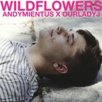 Thumbnail for the Andy Mientus - Wildflowers link, provided by host site