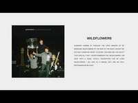Thumbnail for the Joyce Manor - "Wildflowers" (Full Album Stream) link, provided by host site